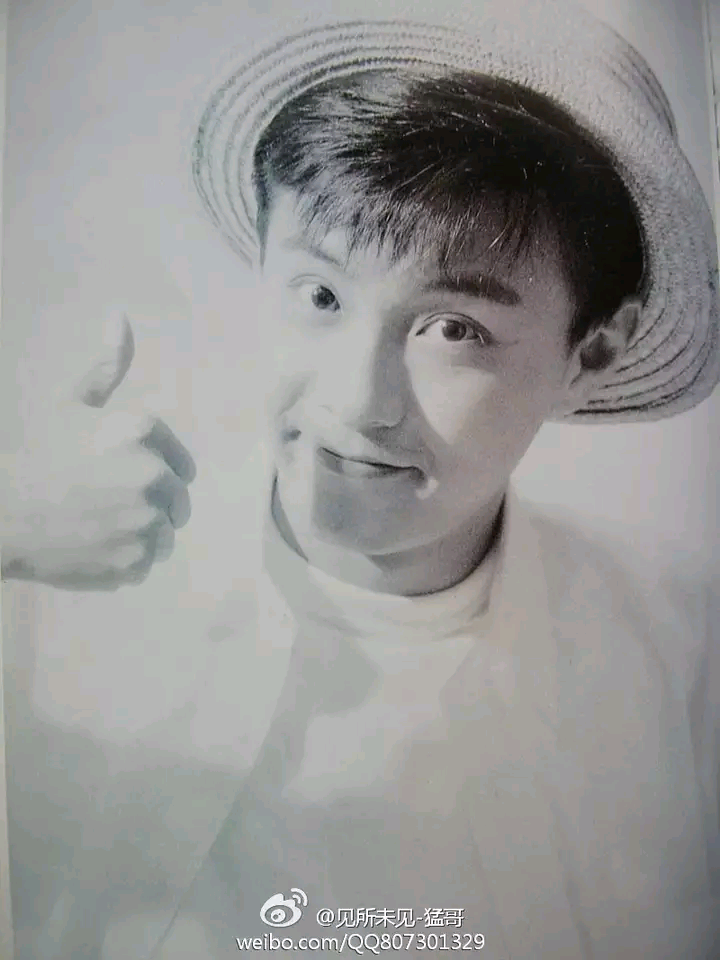 张卫健