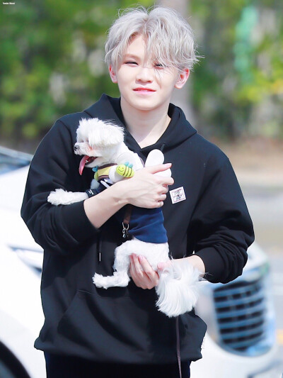 李知勋. 李知勋. woozi. seventeen.