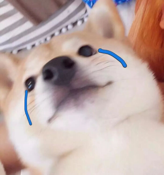 沙雕头像