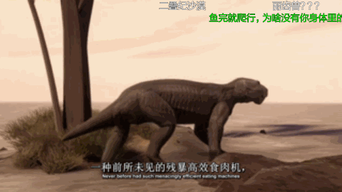 丽齿兽走路动态