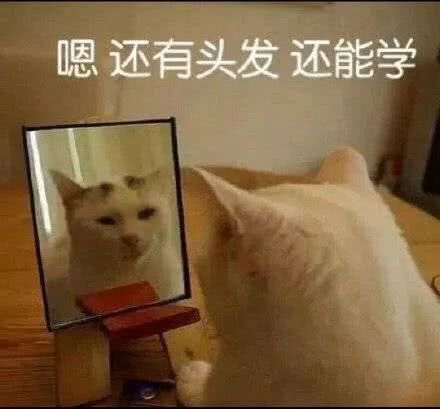 沙雕头像