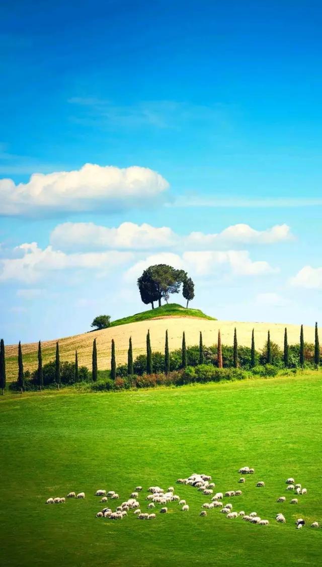 风景 堆糖,美图壁纸兴趣社区