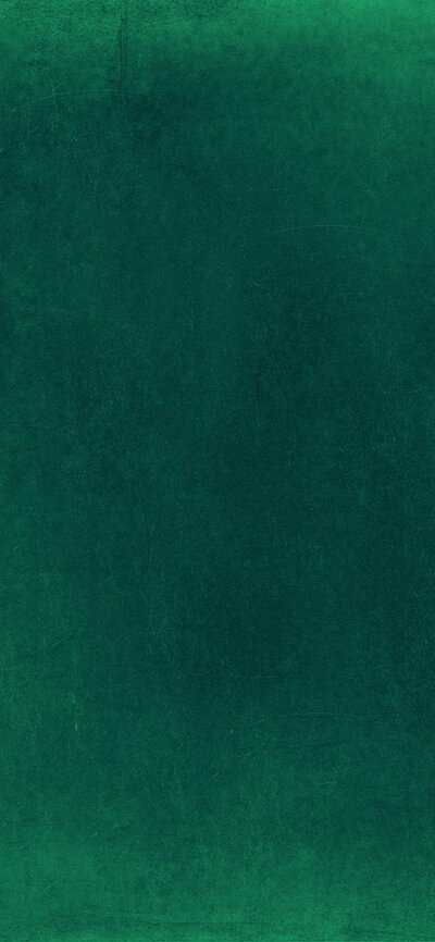 iphone x s r max 全面屏壁纸 纯色绿