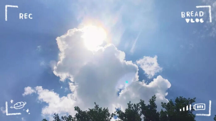 20191009103617_QzKw3.thumb.700_0.jpeg