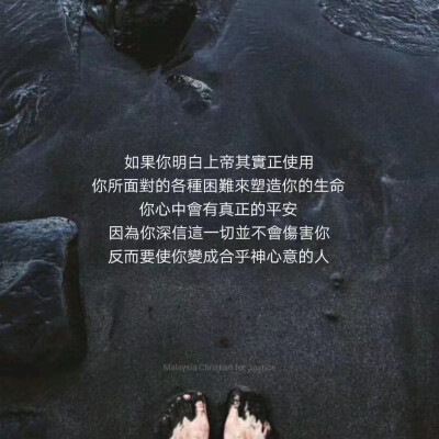 圣经文