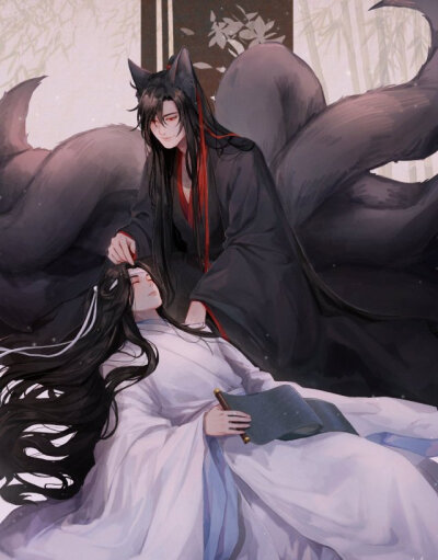 魏无羡 蓝忘机魔道祖师