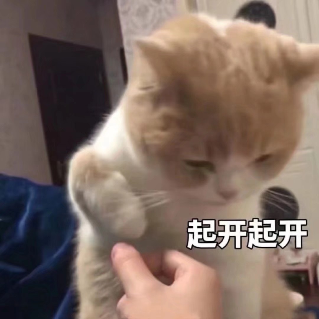 动物表情包自存图 猫咪萌宠可爱