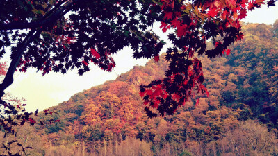 本溪大山里的秋天.