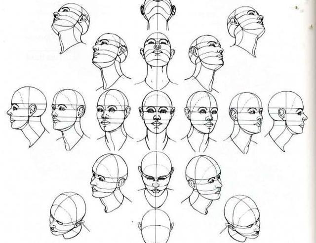 多角度头部绘制参考仰视俯视等不同的角