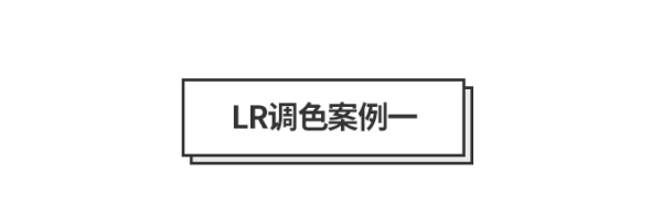 20191016171228_TGCMh.thumb.600_0.png