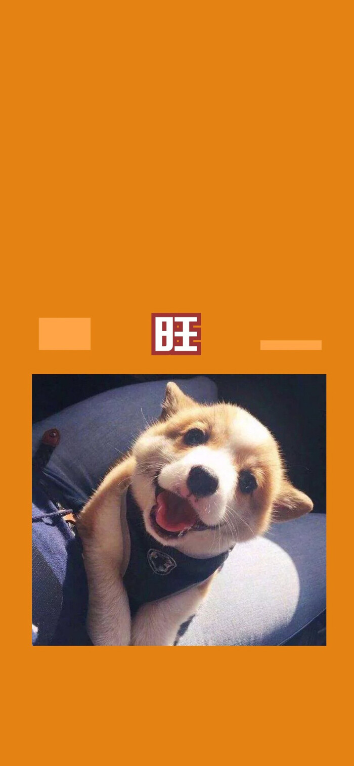 橙色系壁纸