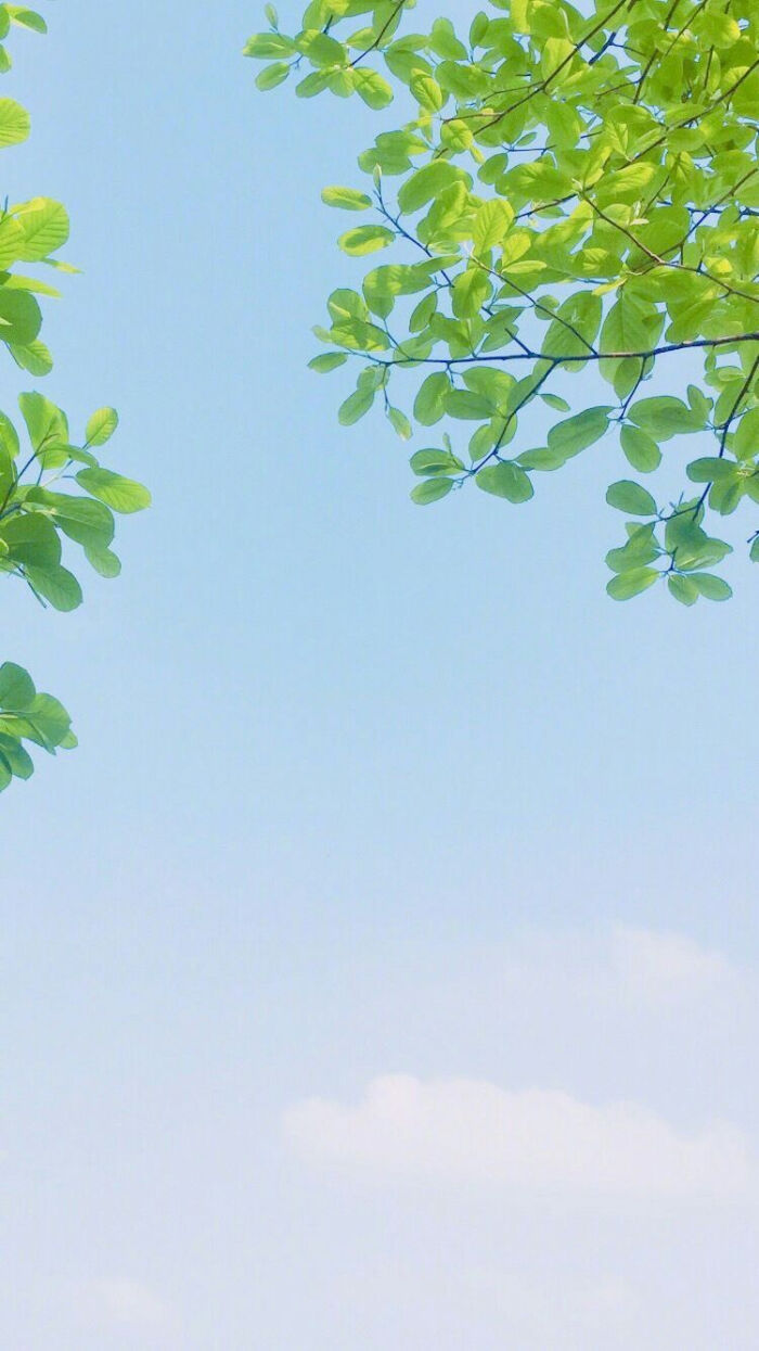 简约颜色壁纸