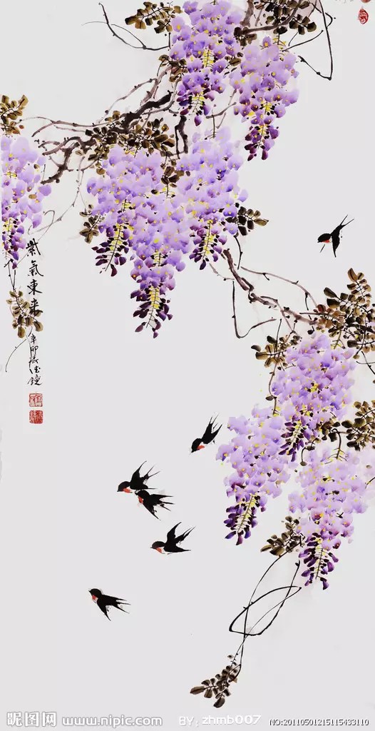 花鸟- 堆糖,美图壁纸兴趣社区