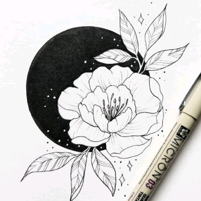 花卉线描