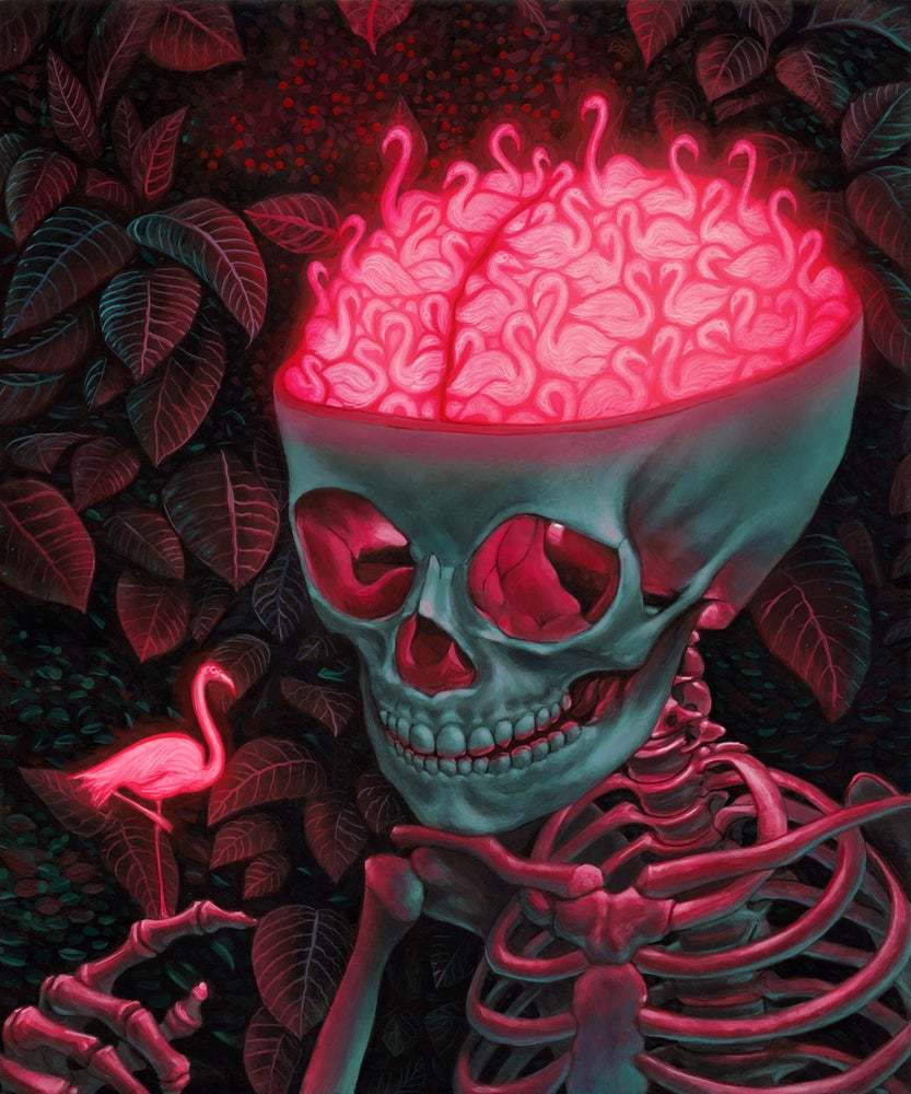 骷髅