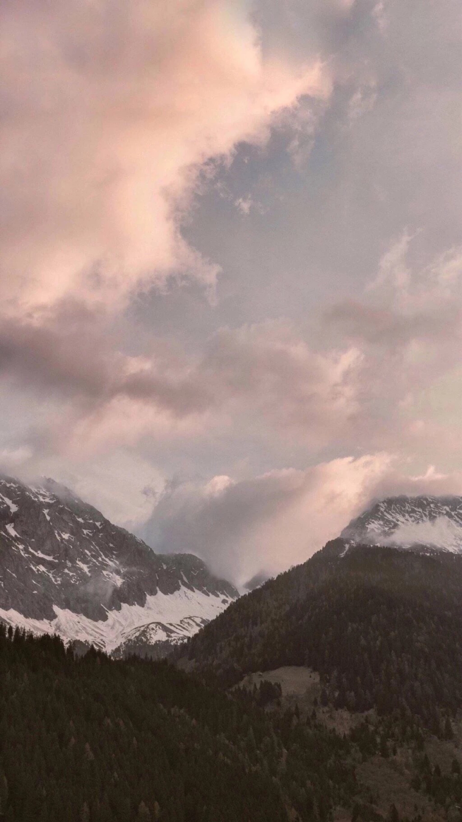 高清壁纸/背景