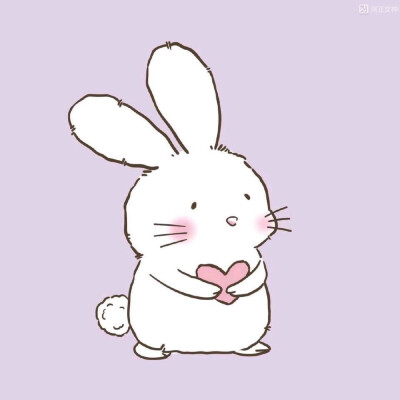可爱小兔