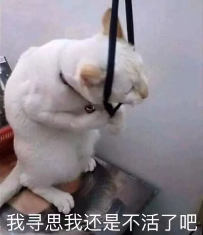 嗦嗦