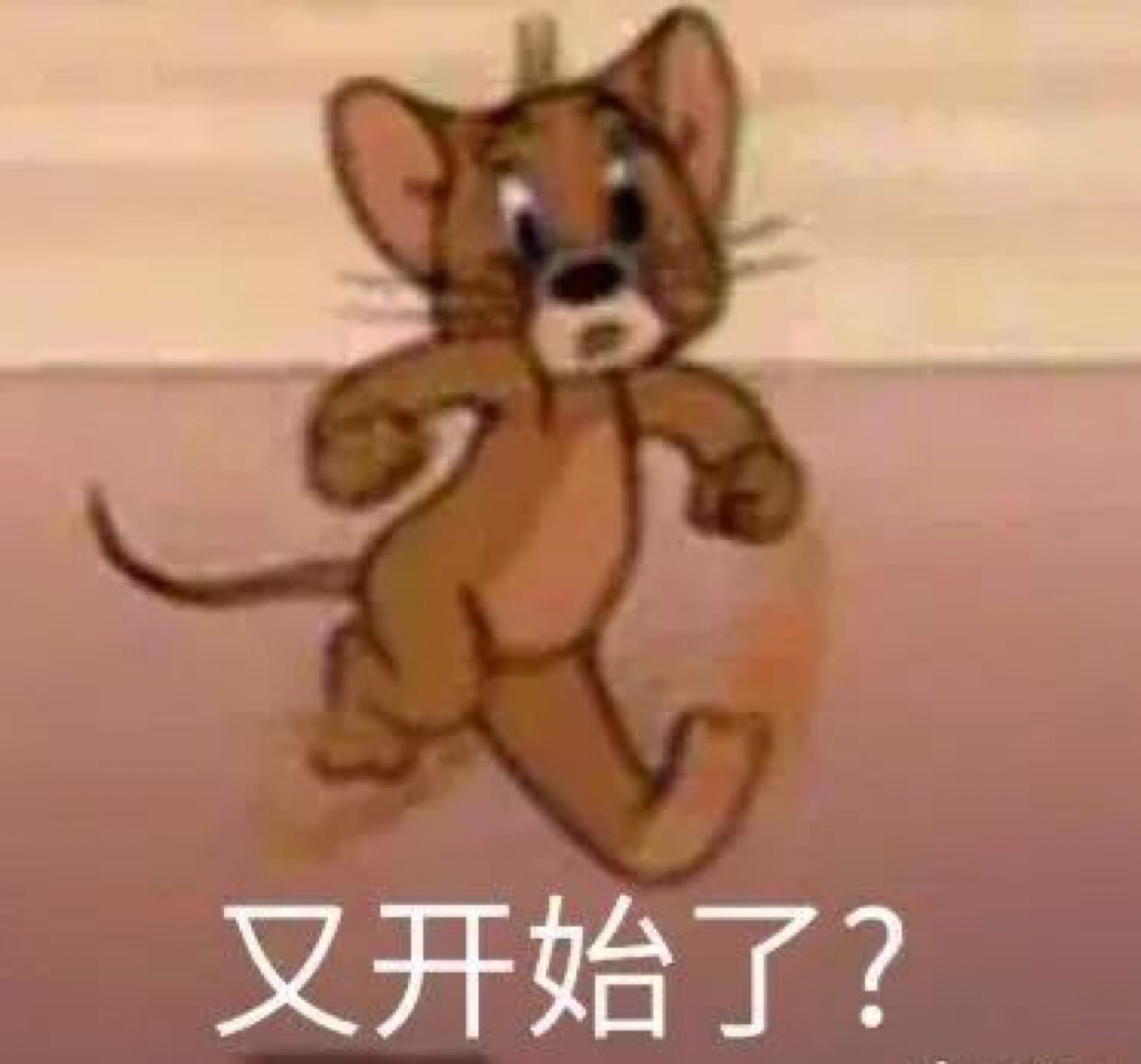 猫和老鼠表情包