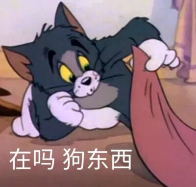 猫和老鼠表情包