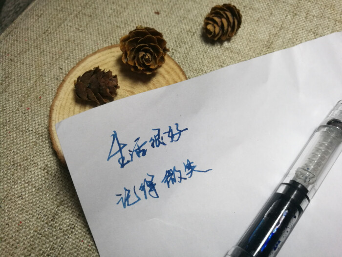 手写文字 摘录 古风 情感 短句 唯美 文字控 伤感 歌词 经典 文字句子