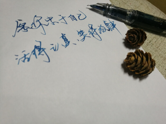 手写文字 摘录 古风 情感 短句 唯美 文字控 伤感 歌词 经典 文字句子