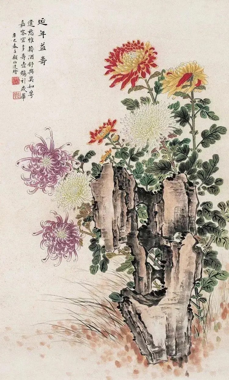 擅长画菊的殿堂级画家,与张大千平起平坐,号称"菊王"的顾伯达.