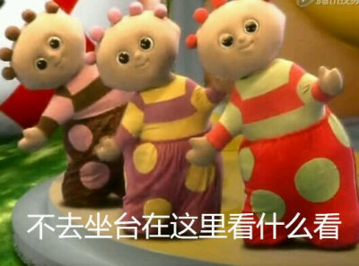 花园宝宝表情包 斗图