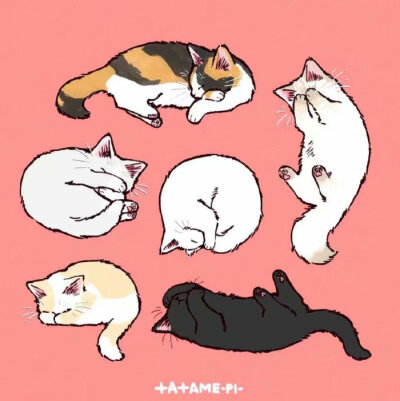 可爱的小猫咪 插画 素材 画师 たたメーピー