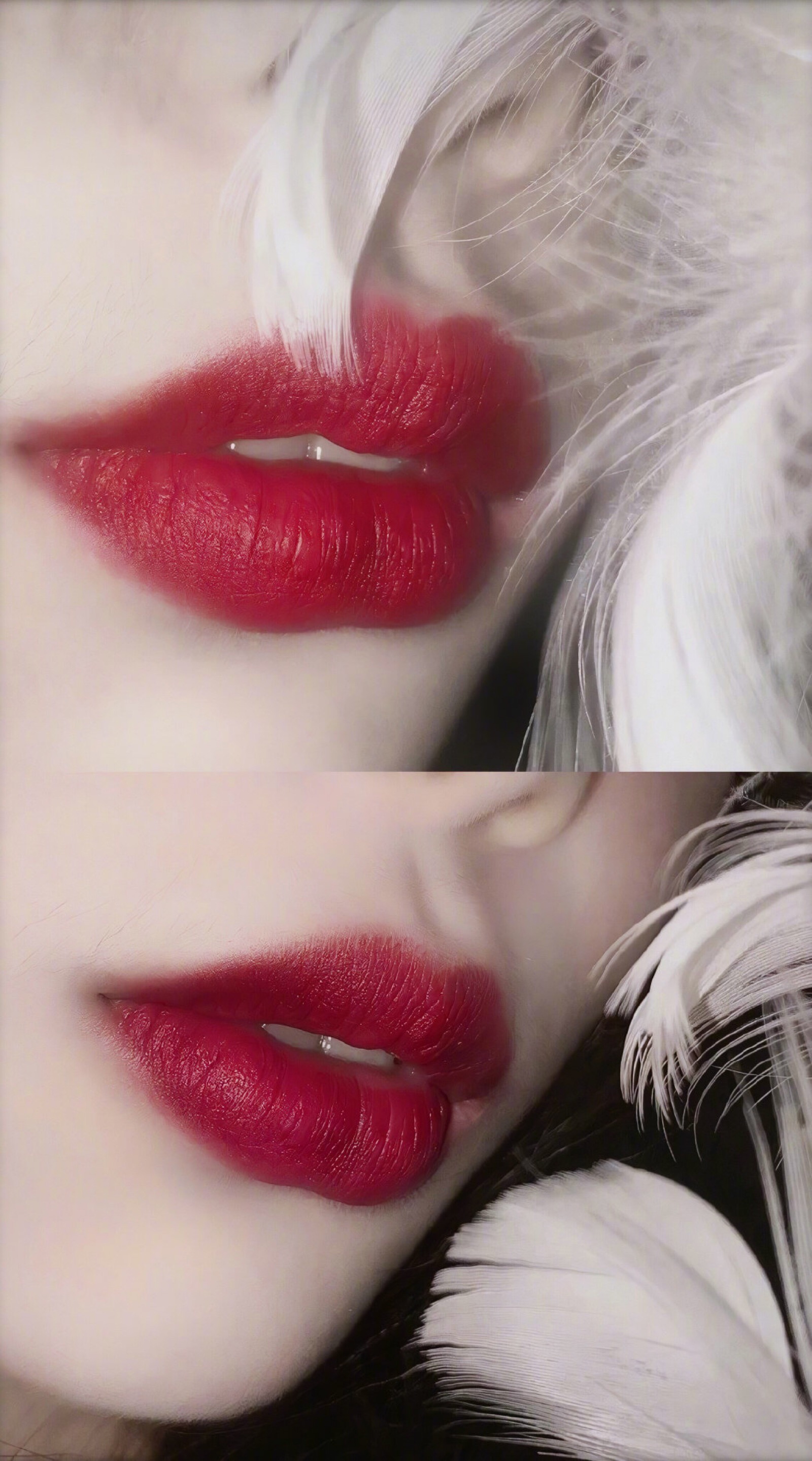 美女嘴唇素材-美女嘴唇图片-美女嘴唇素材图片下载-觅知网