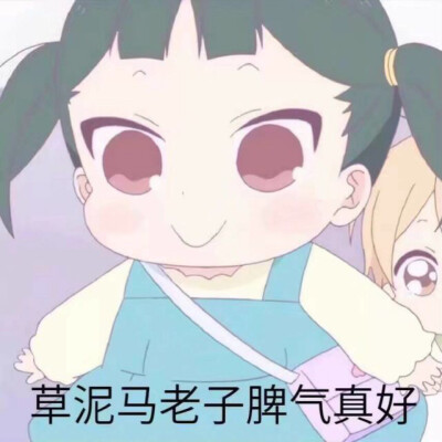 柒七