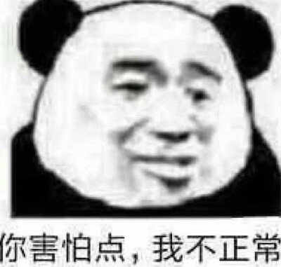 熊猫头我懂你