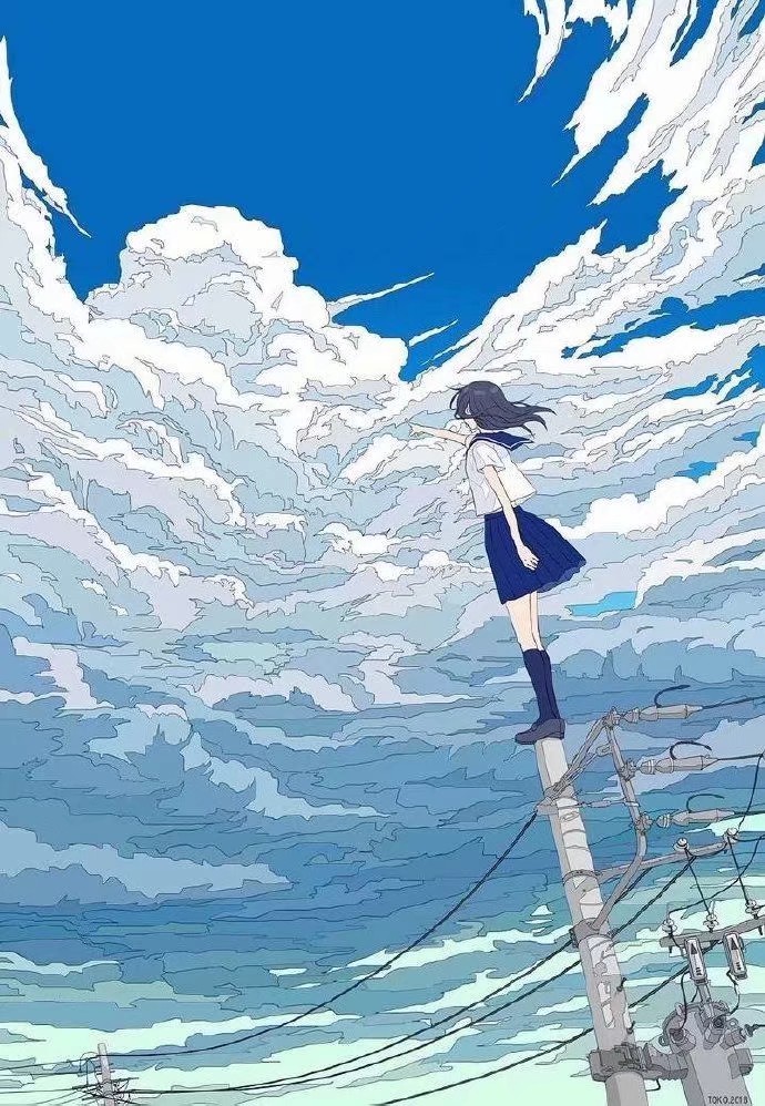 你的身影已然消失的无影无踪 画师:トーコ toko