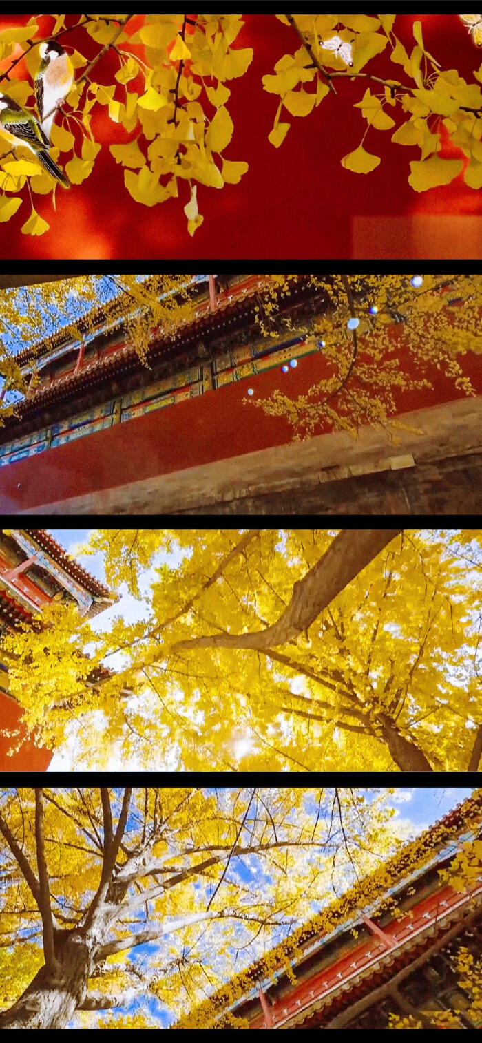 美轮美奂的北京故宫 - 堆糖,美图壁纸兴趣社区