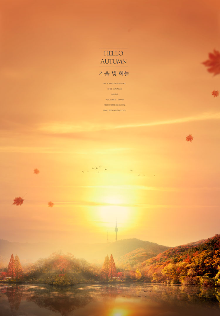 【更多点头像】创意梦幻意境唯美秋季旅行定制分享户外风景写真海报
