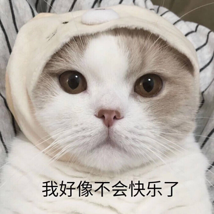 表情包 不会快乐 难过