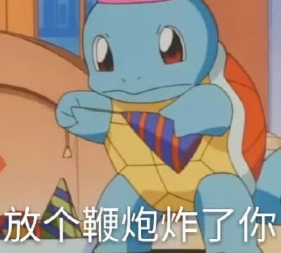 皮卡丘的朋友们
