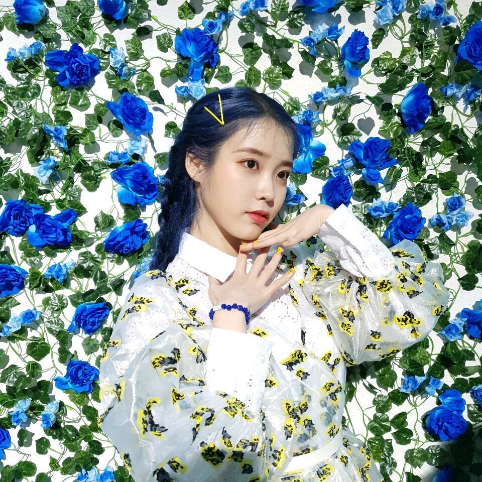 blueming|love poem iu , ?要和我一直绽放百万朵玫瑰吗?