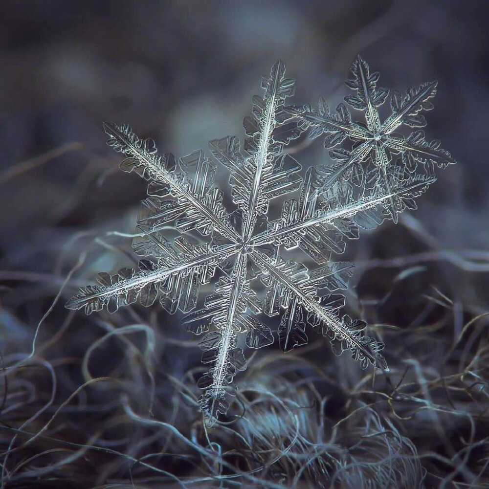 雪花