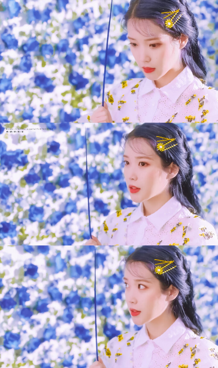 iu | blueming cr:朝颜博物馆 - 堆糖,美图壁纸兴趣