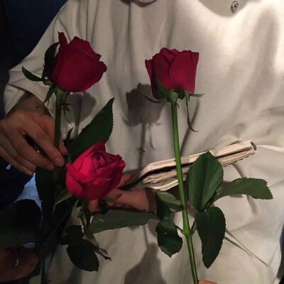 0 1 木木777777  发布到  文案 图片评论 0条  收集   点赞  评论
