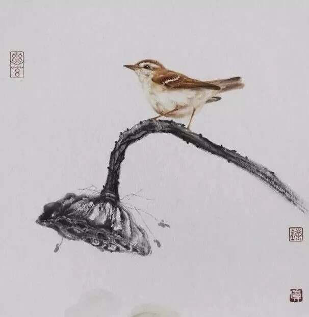 国画.残荷小鸟