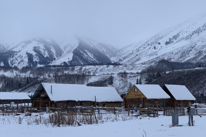 禾木雪乡在短暂的放晴后又是暴风雪