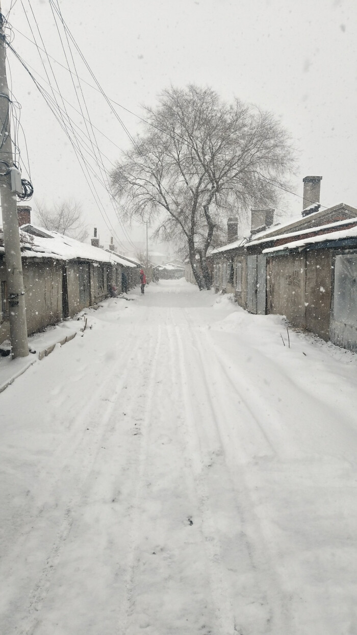 美丽的家乡雪景,就是雪有点大