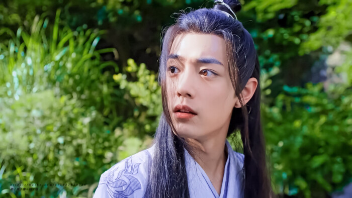 肖战 魏无羡