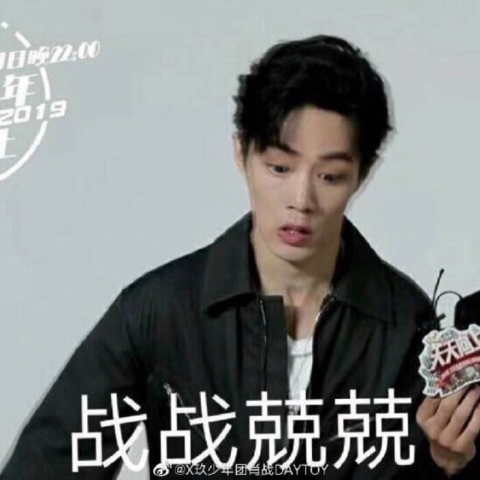 肖战表情包 ,专有水印 肖战盖章