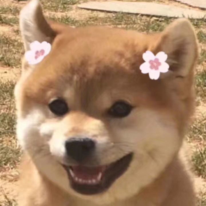 狗狗头像