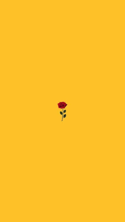 黄色背景图 #yellow vibrant 我最爱的颜色啊aaa