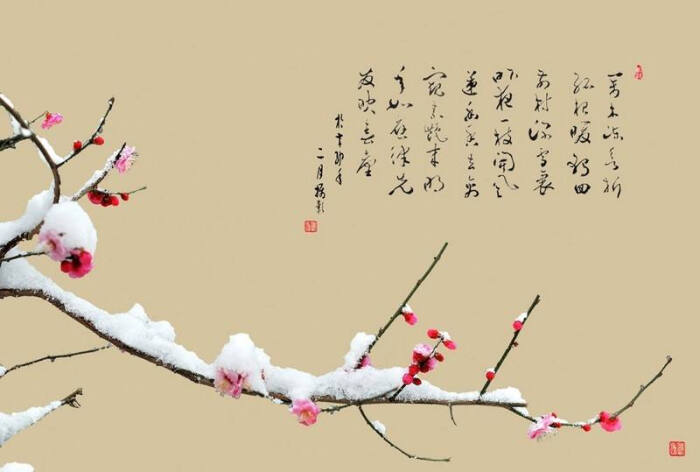 雪梅