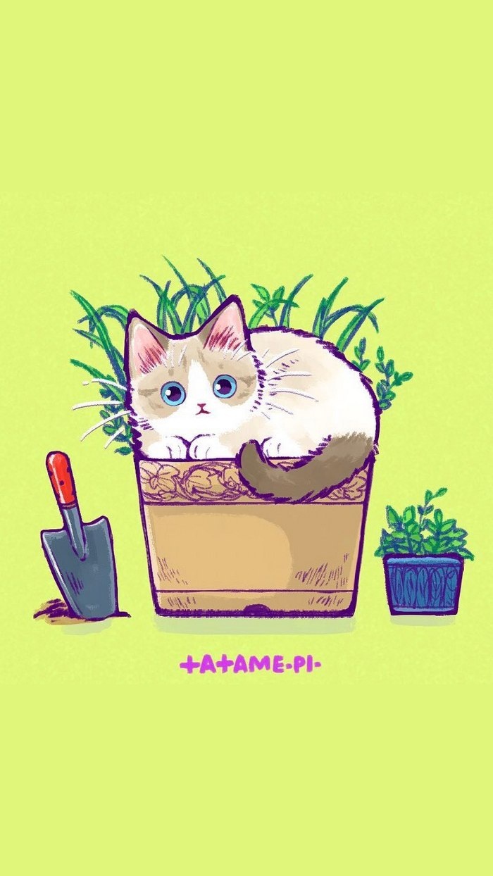 猫咪 插画 壁纸